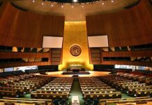 国際連合に関する生の情報を発信します