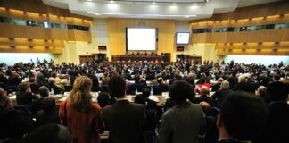 国連のインターンを勧める三つの理由