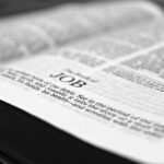 国連日本人職員を対象とした勉強会