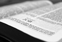 国連日本人職員を対象とした勉強会