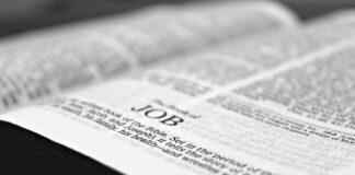 国連インターンシップの応募条件