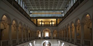 国連職員になりたければ、最初から大学院を視野にキャリアプランを