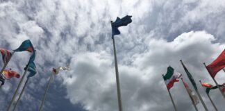 ベンダーとして国際連合と仕事するには