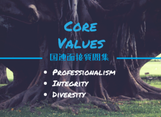 国連採用試験:(面接質問集)Professionalismについて