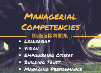 国連採用試験:(面接質問集)Visionについて