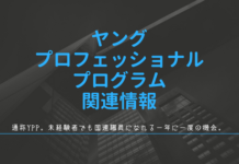 2017年国連ヤング・プロフェッショナル・プログラム(YPP)募集開始しました ヤング・プロフェッショナル・プログラム関連情報