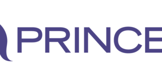 国連で推奨されているプロジェクトマネジメントフレームワーク「PRINCE2」