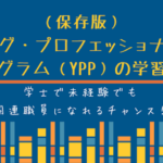 (保存版)ヤング・プロフェッショナル・プログラム(YPP)の学習資料