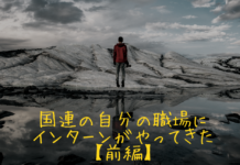 国連の自分の職場にインターンがやってきた【前編】