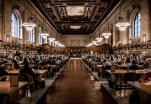 国際機関で働きたいなら海外留学をするべき!? patrick-robert-doyle