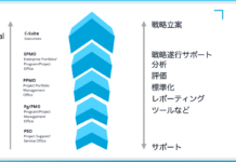 PMOの種類・機能、階層構造、求められる能力とパフォーマンス PMO Functionality and Financial Impact